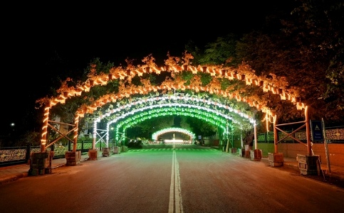 Preserving Pune's biodiversity: Himalaya Wellness and Indian Army unite for the Tiranga Tunnel Initiative